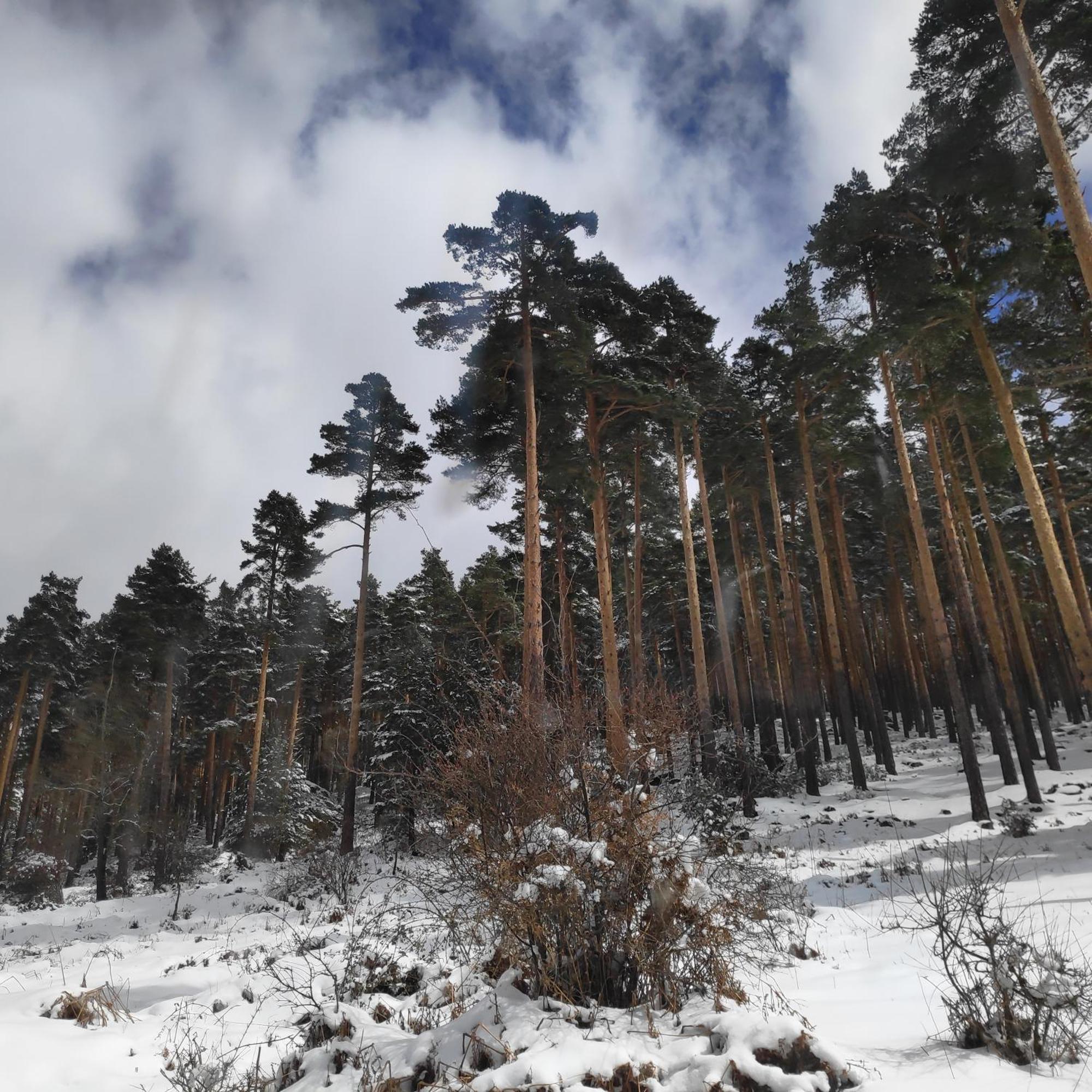 Las Encarnas Braojos de la Sierra Εξωτερικό φωτογραφία