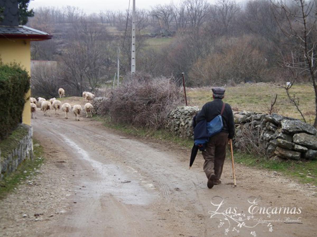 Las Encarnas Braojos de la Sierra Εξωτερικό φωτογραφία